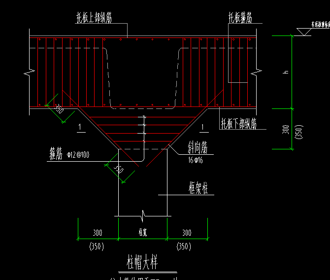 参数化