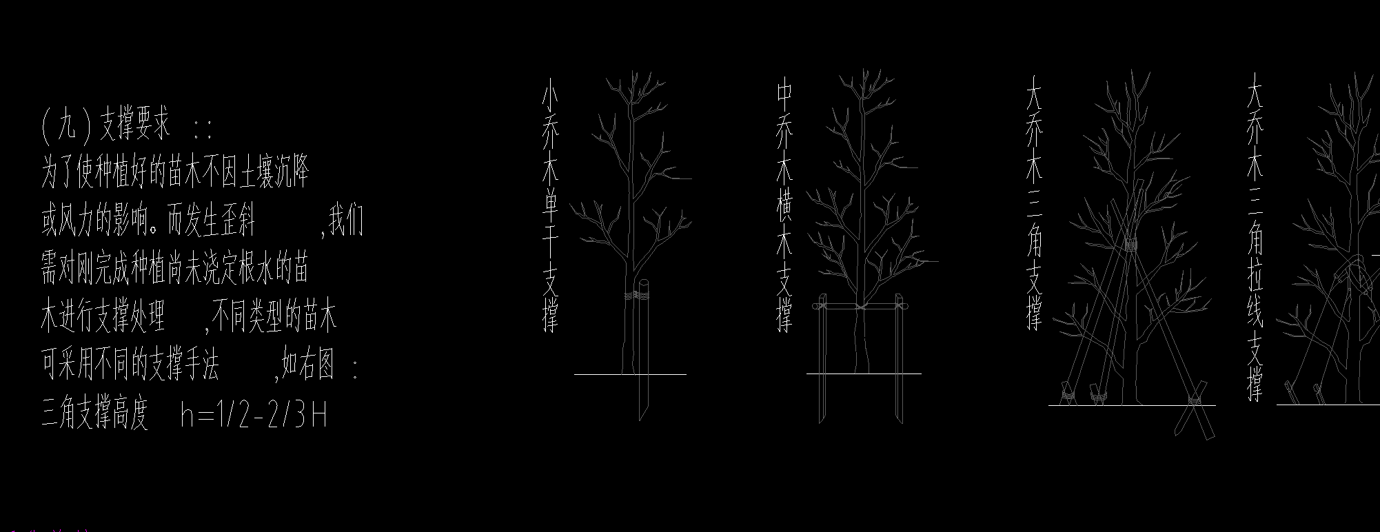 乔木