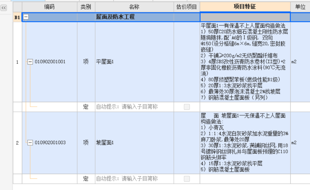 项目特征