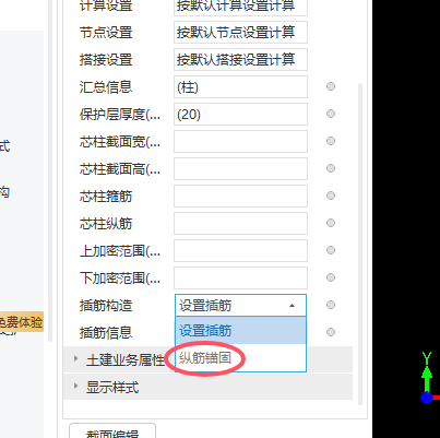 纵筋