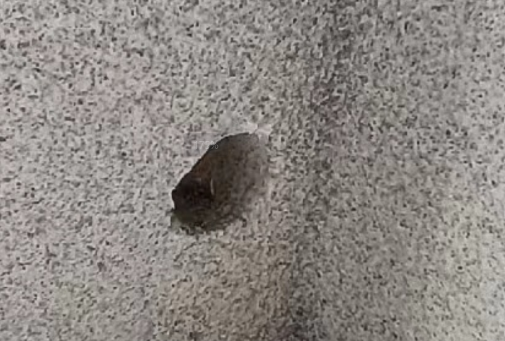 预留