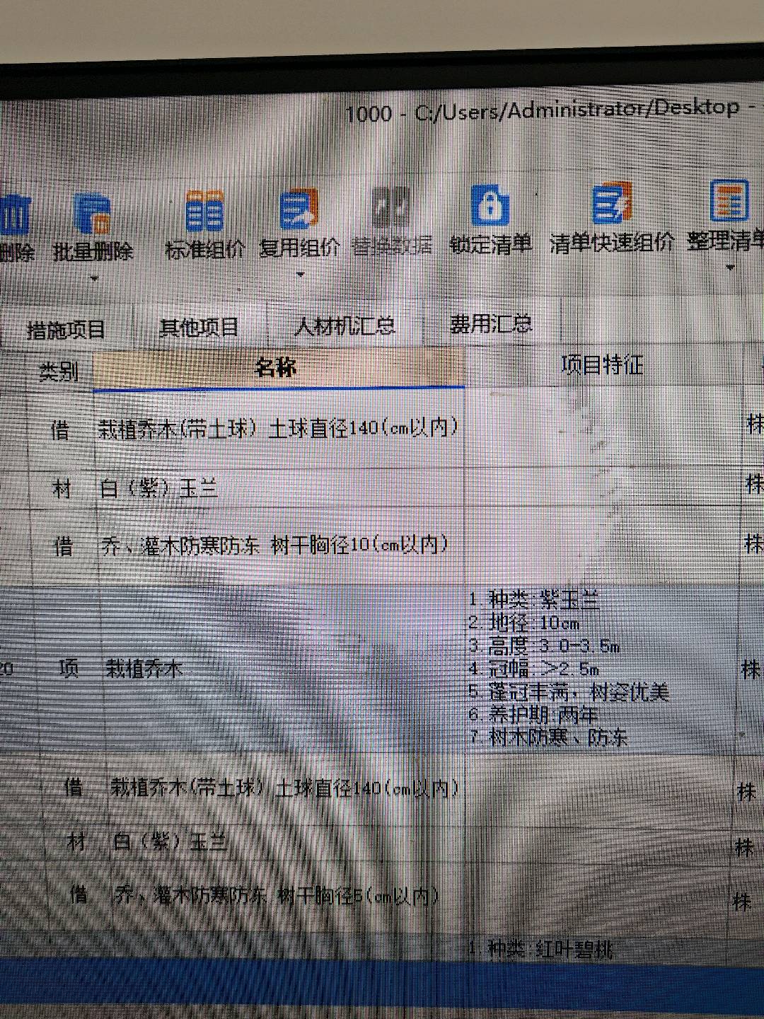 定额