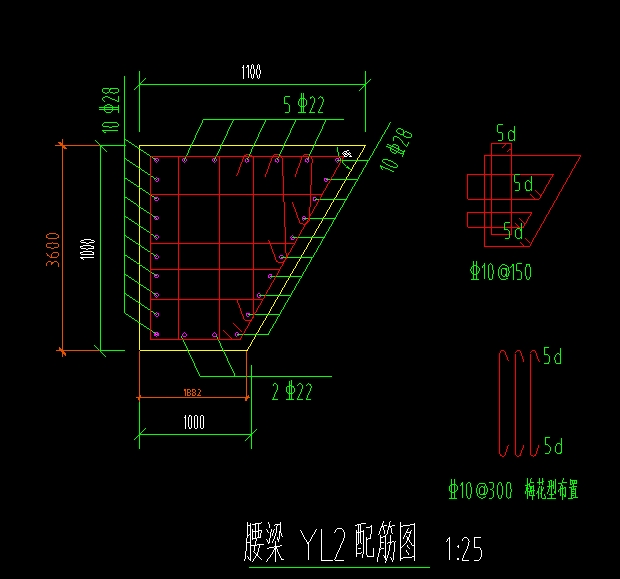 腰梁