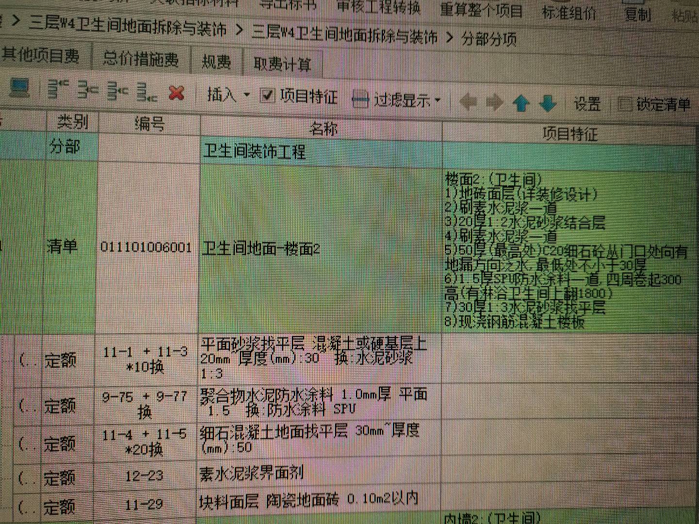 项目特征