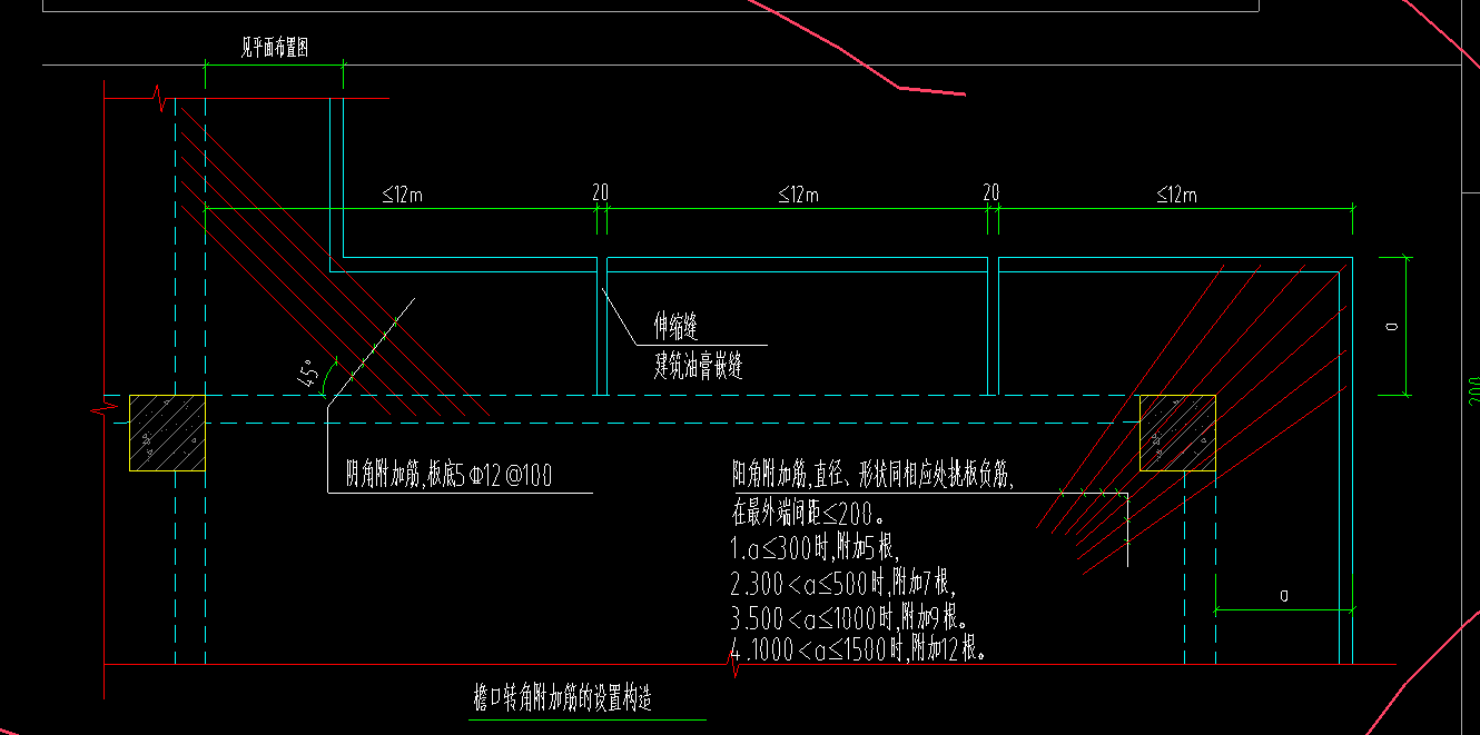 放射筋