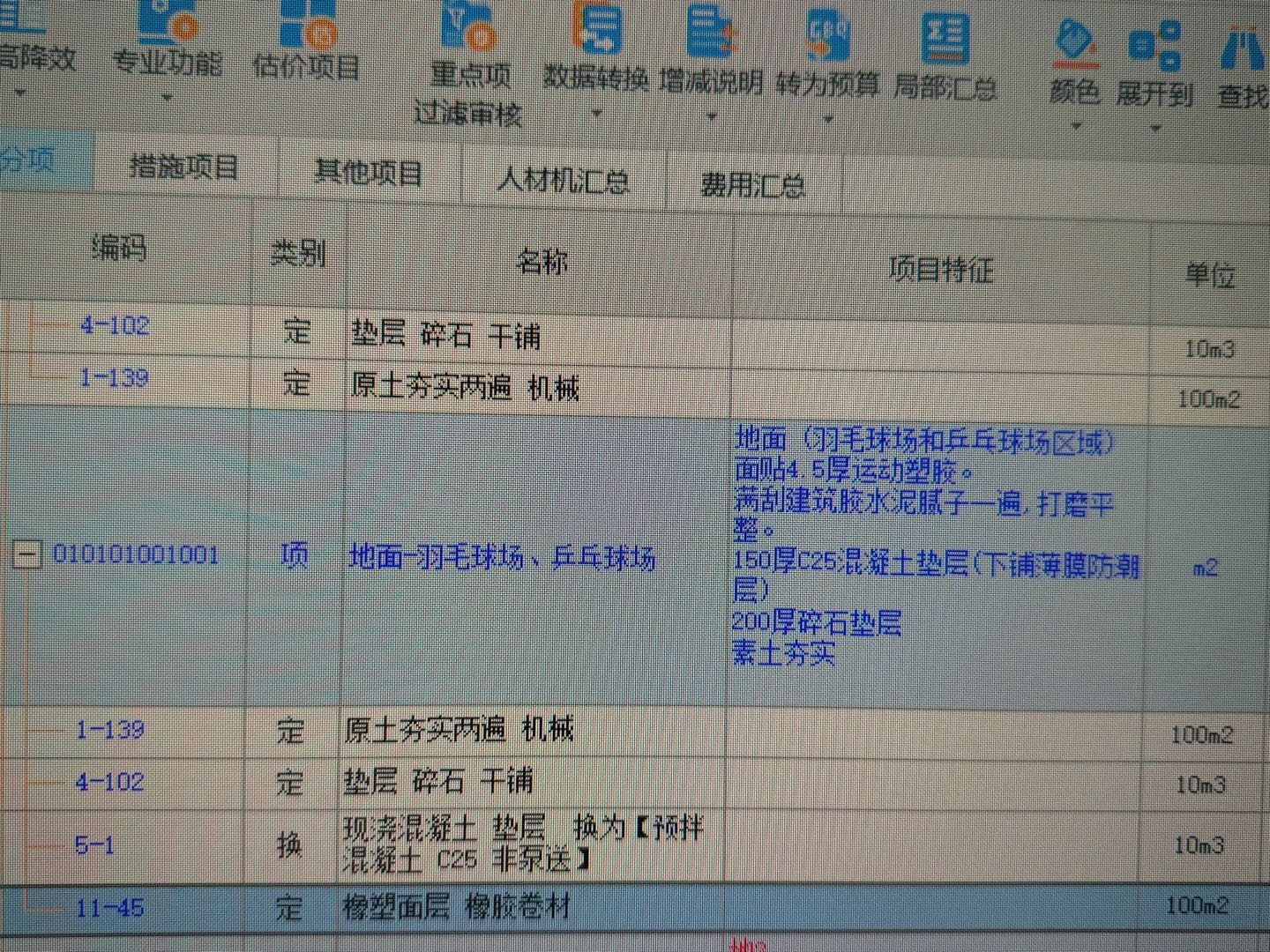 项目特征