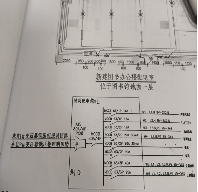 根数