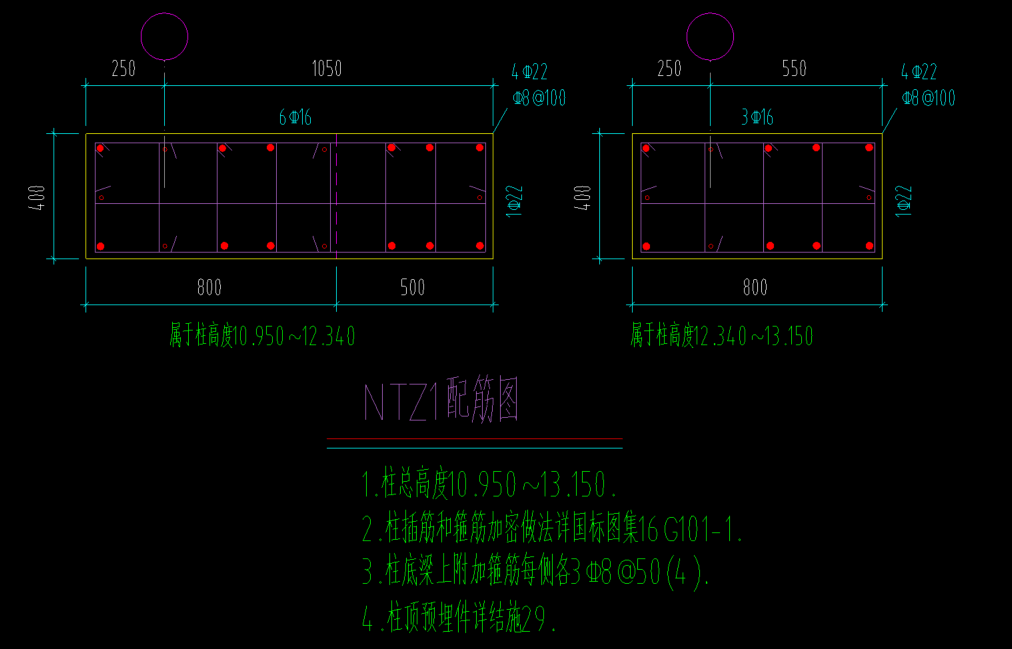 牛腿