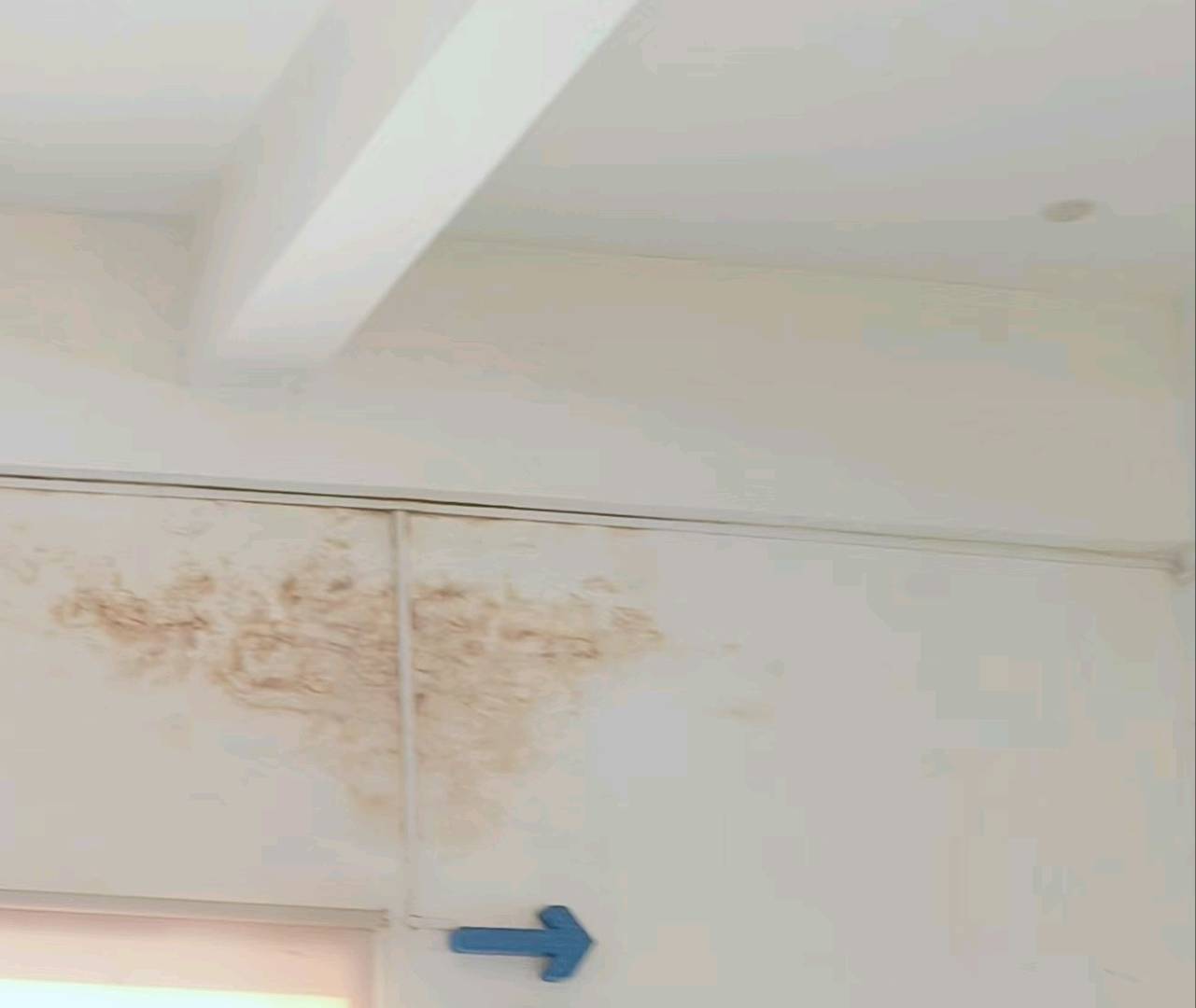 灯可以