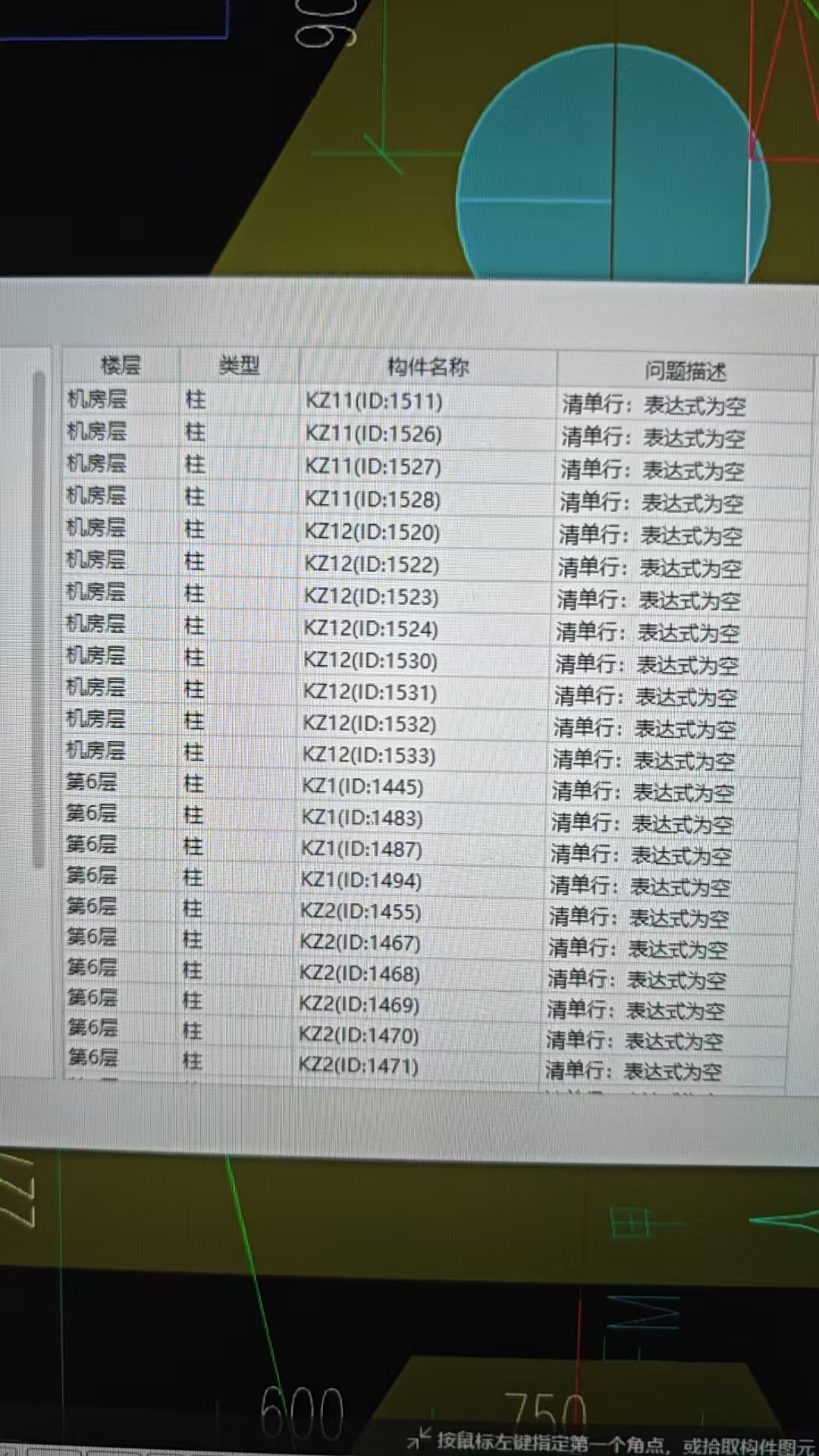 项目特征