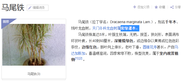 广联达服务新干线