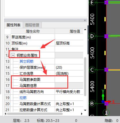 马凳筋