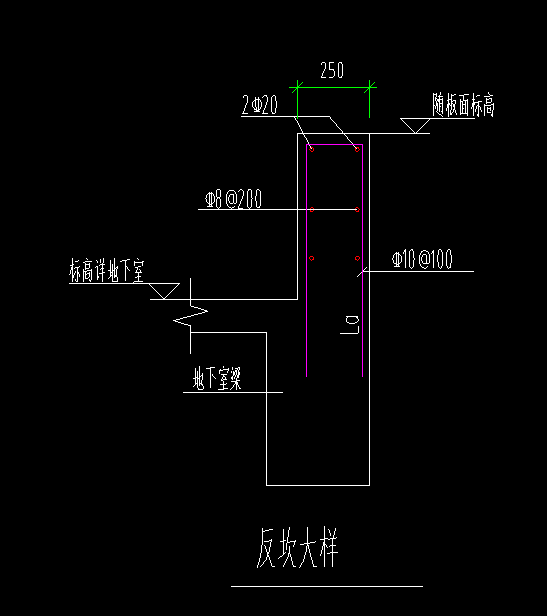 分布筋