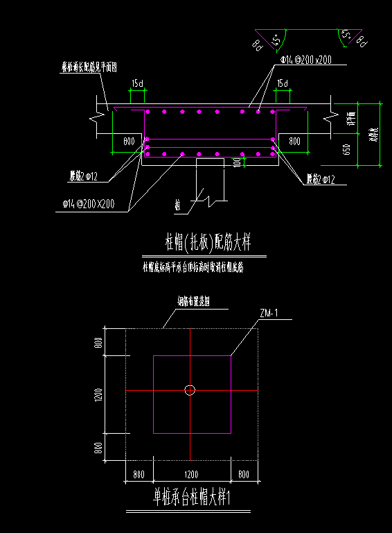 柱帽