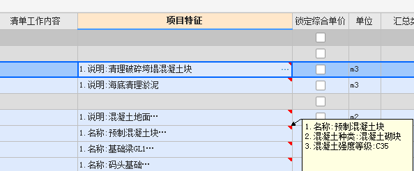 项目特征