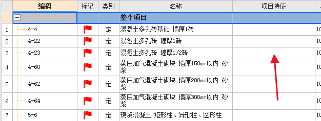 项目特征