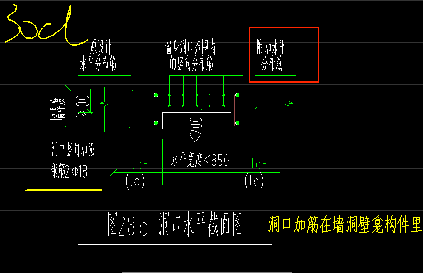 分布筋