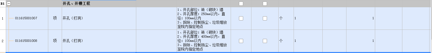 项目特征