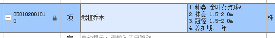 乔木
