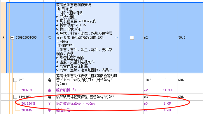 项目特征