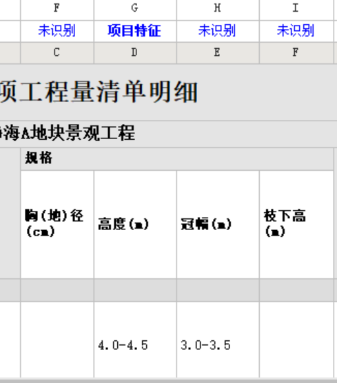 项目特征