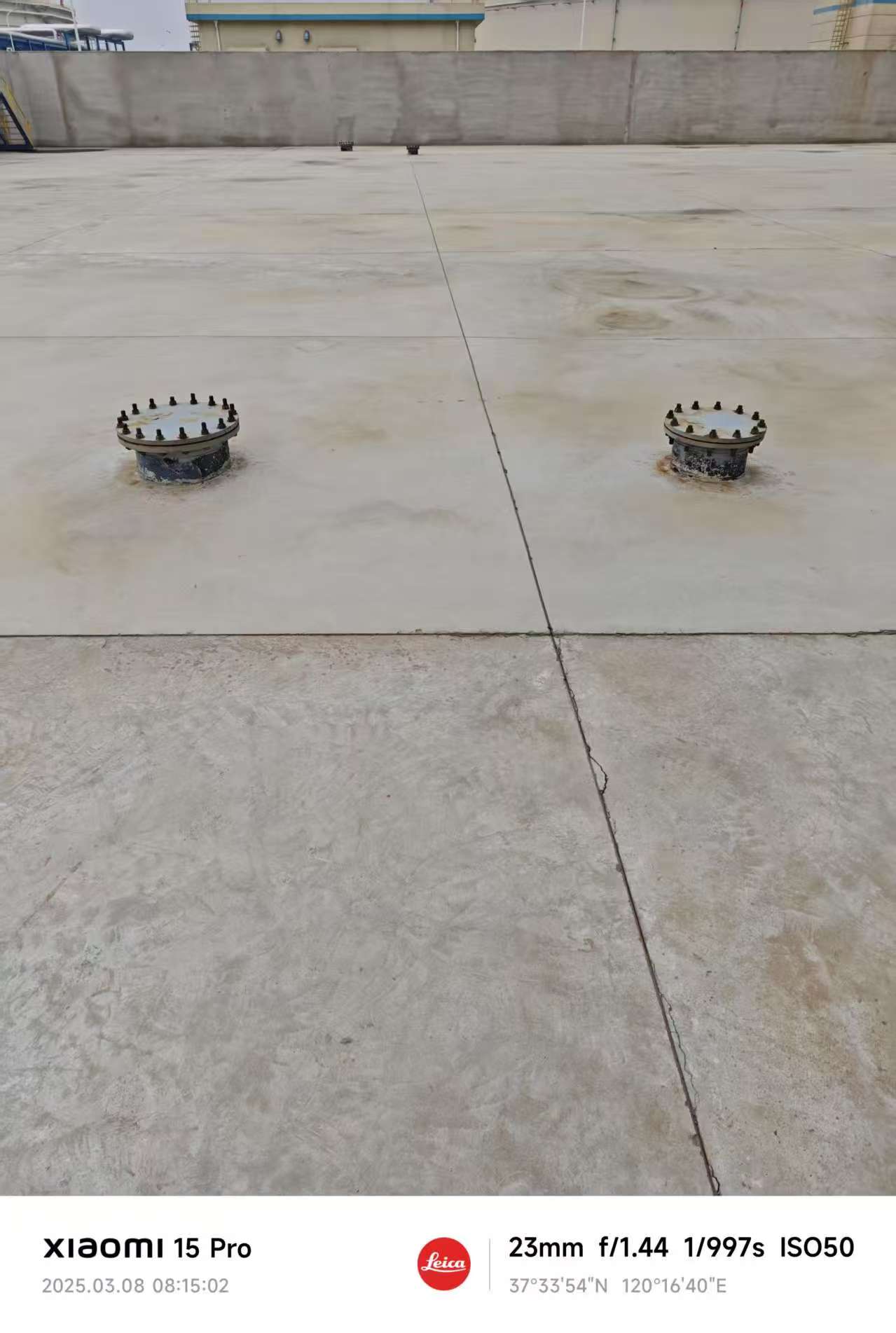 子目