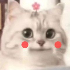费用定额