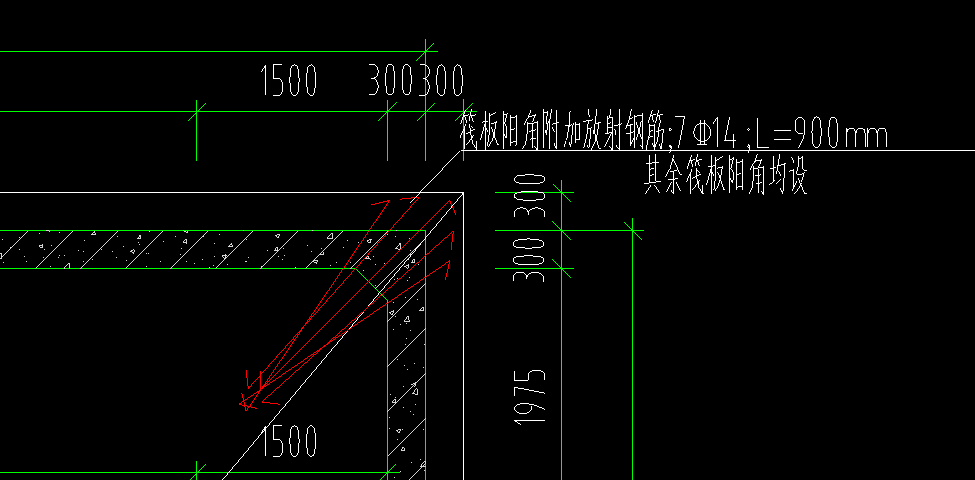 放射筋