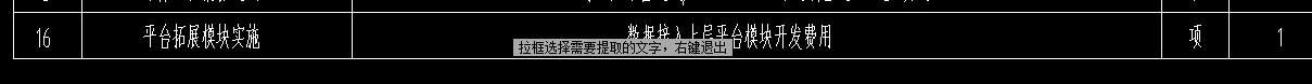 项目特征