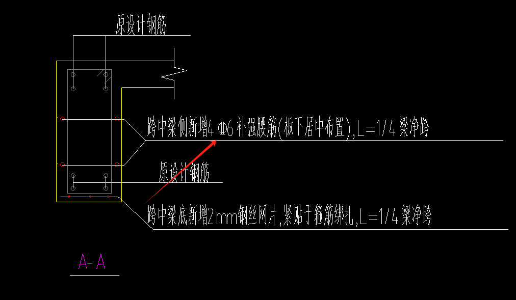 腰筋