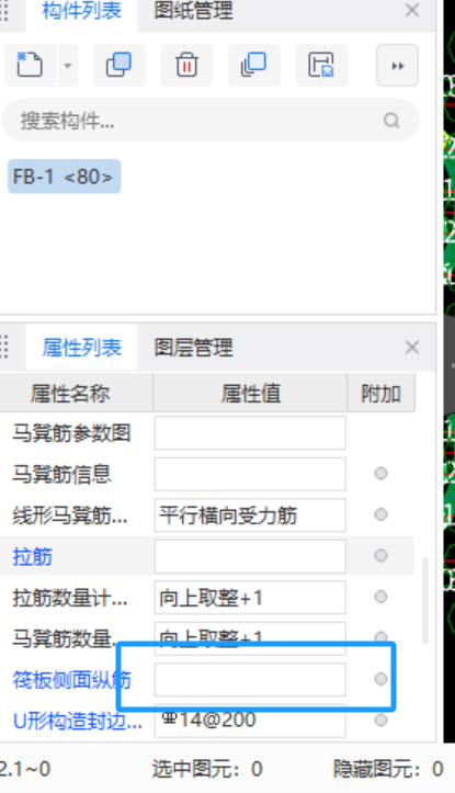 侧面纵筋