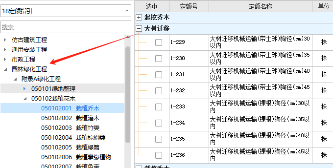 苗木