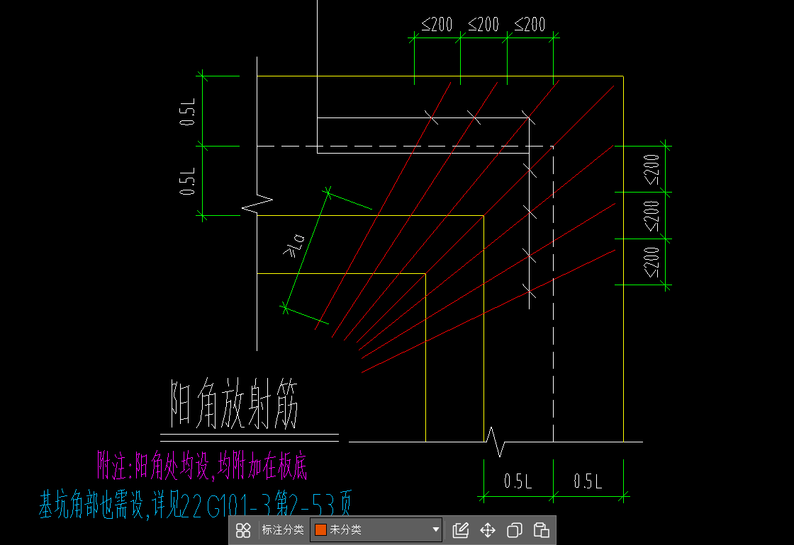 放射筋