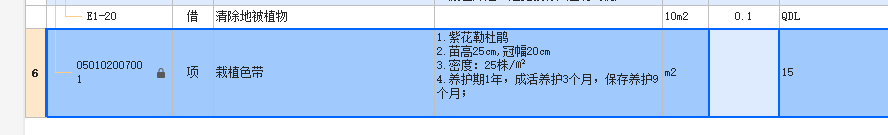 项目特征