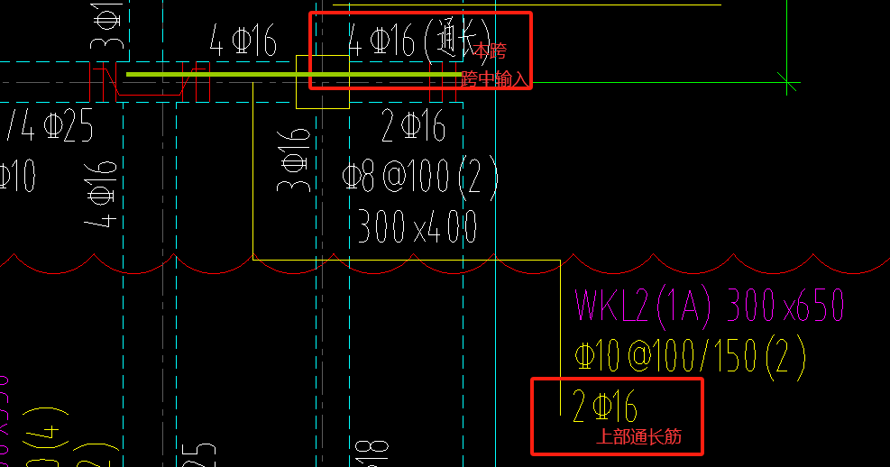 通长筋