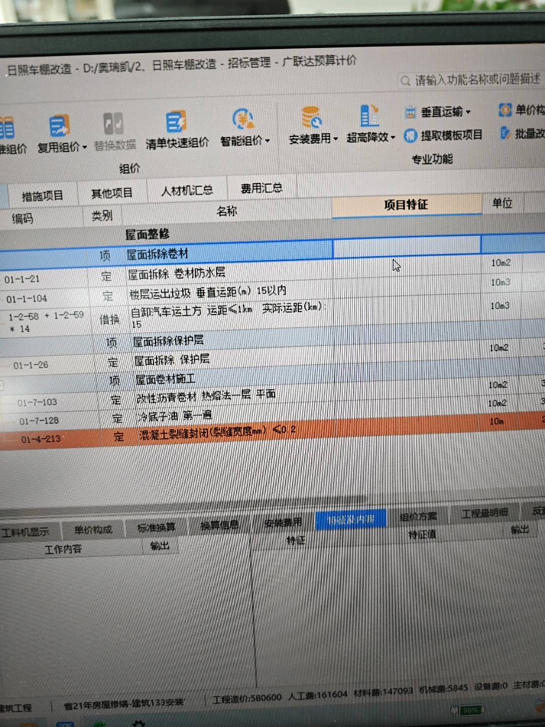 项目特征