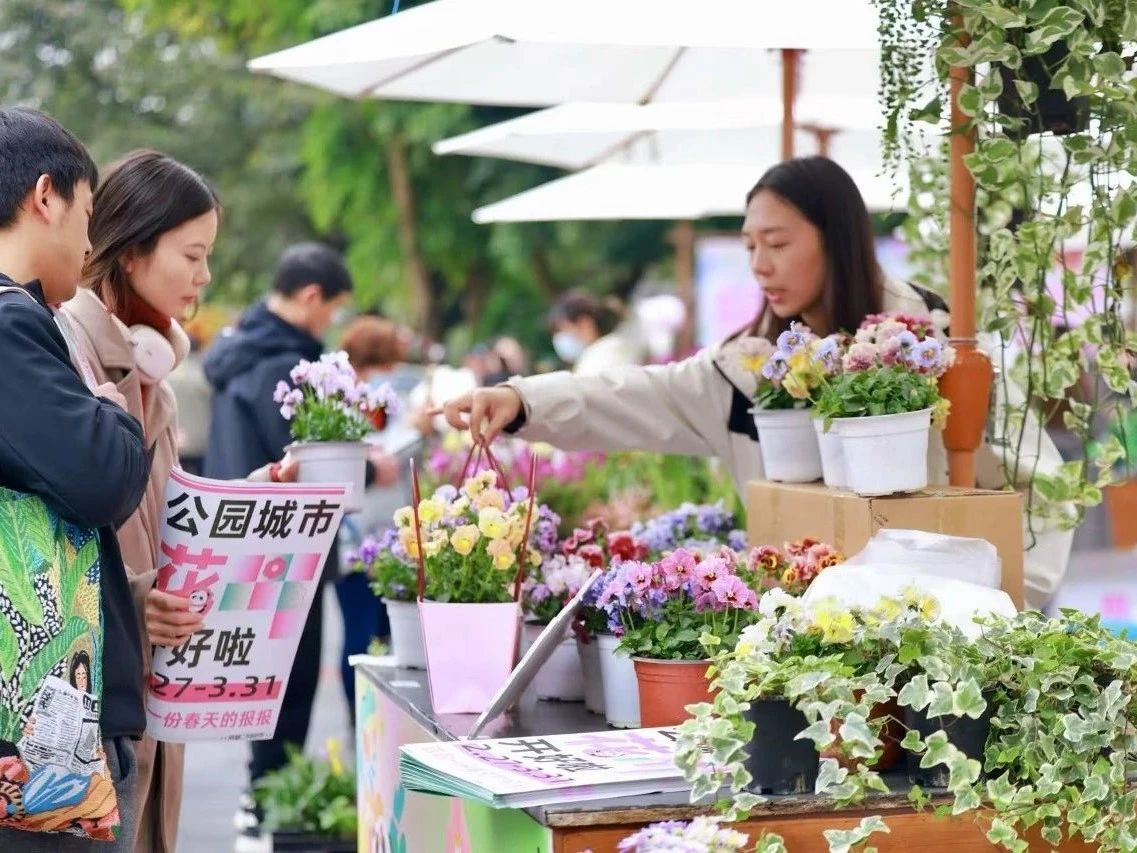行业动态