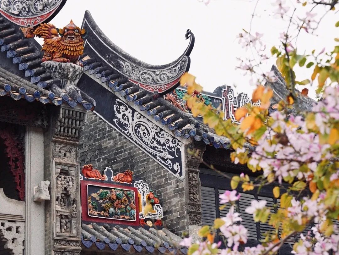 建筑行业专业资讯门户-新干线头条