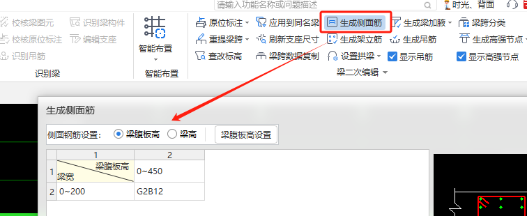 梁纵筋