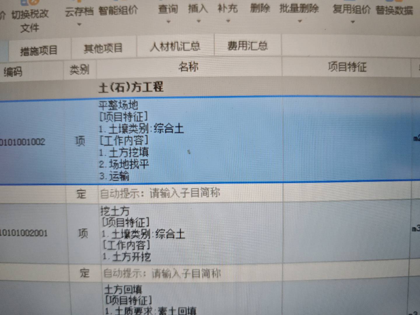 项目特征