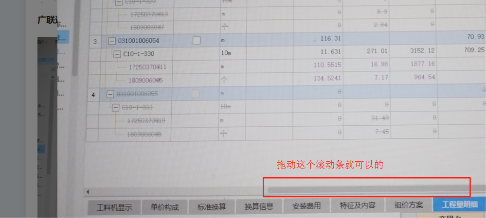 项目特征