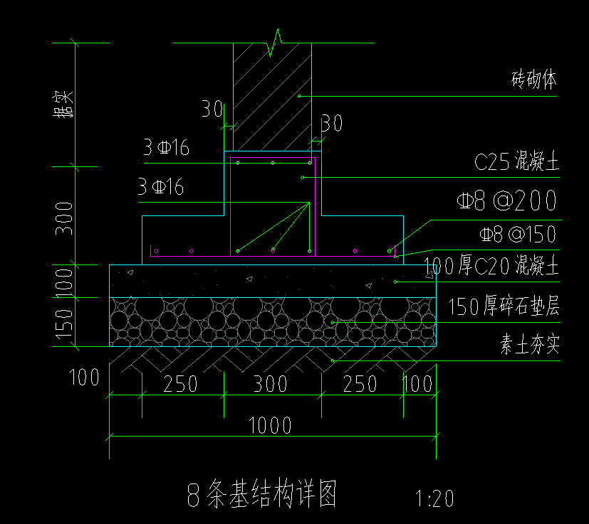 条基