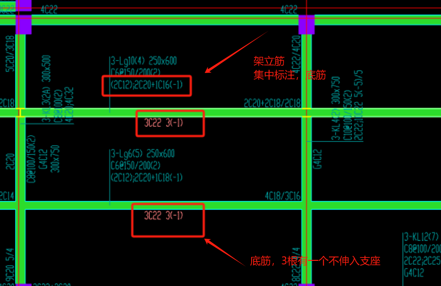 原位标注