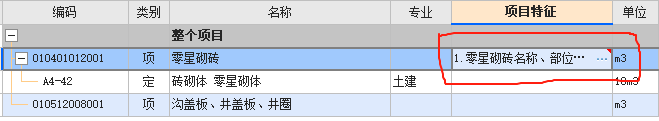 项目特征