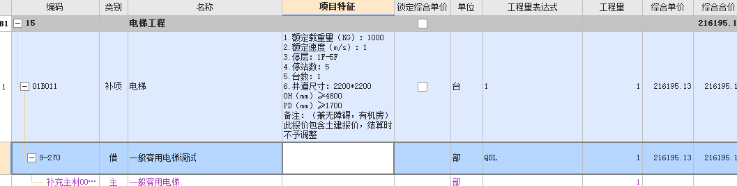 项目特征