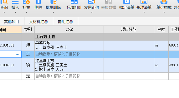 项目特征