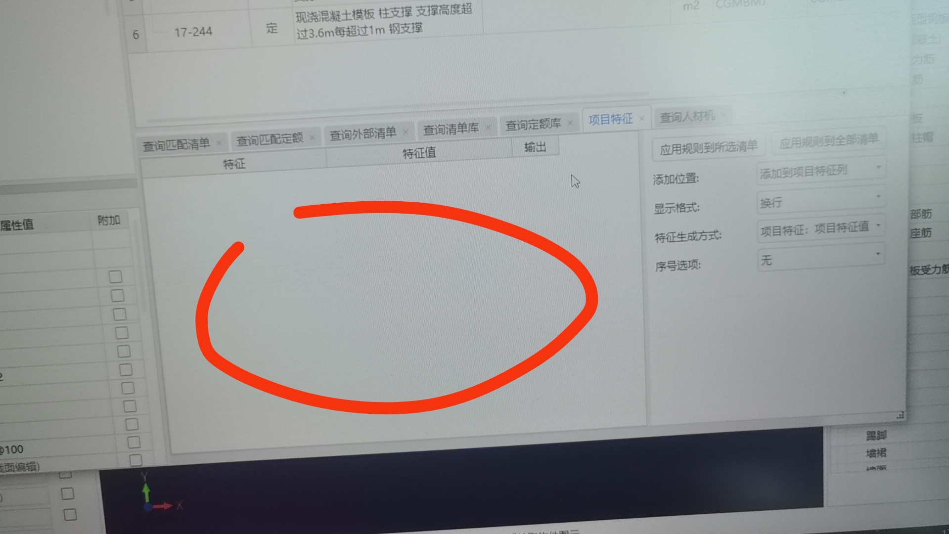 项目特征