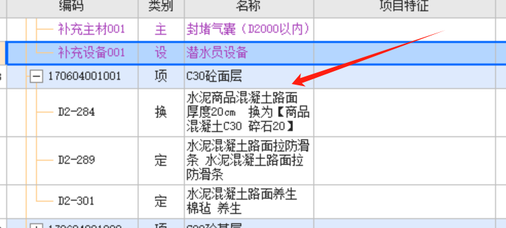 项目特征