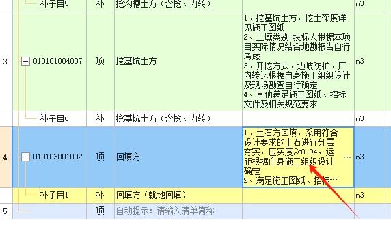 项目特征