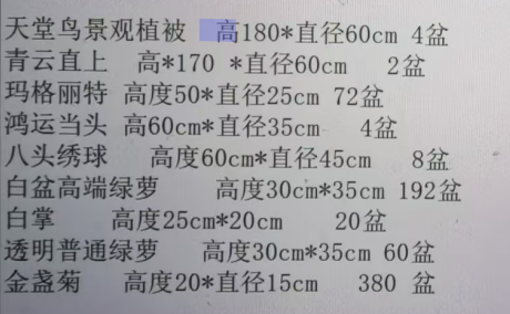 定额
